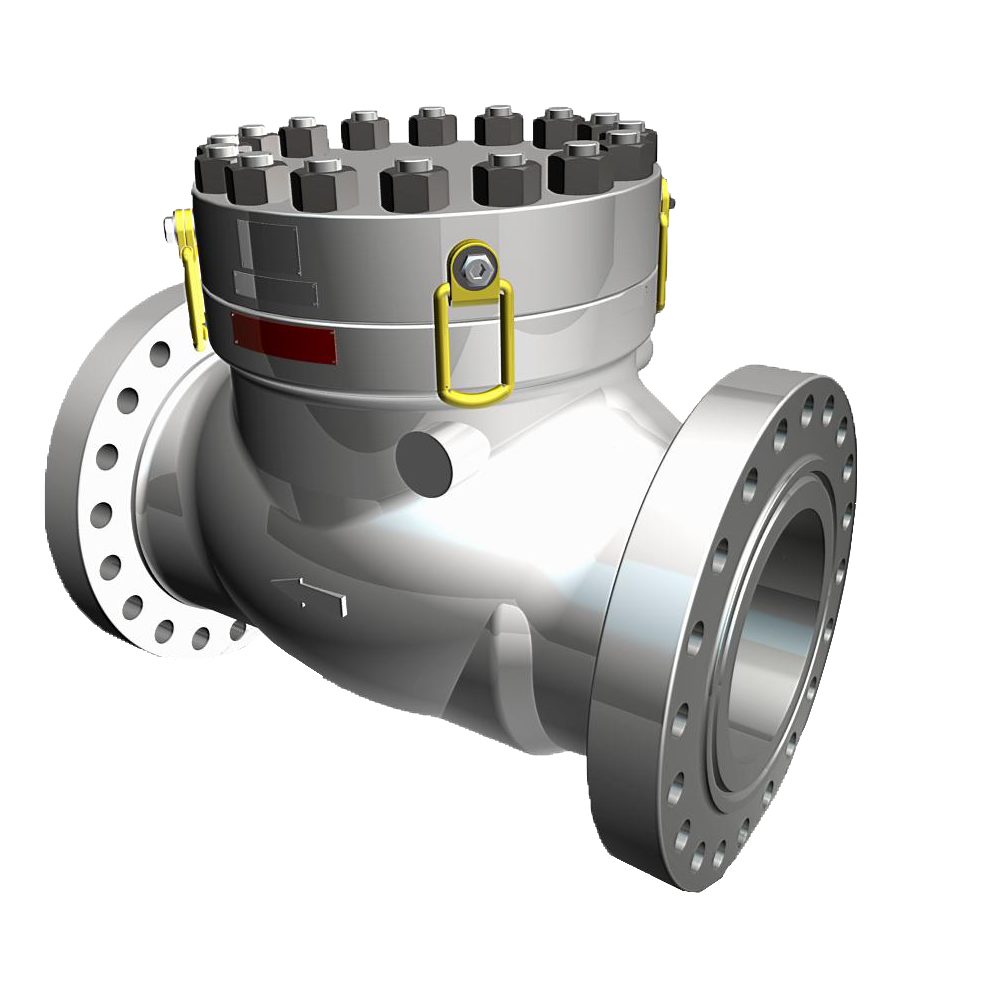 Check Valves